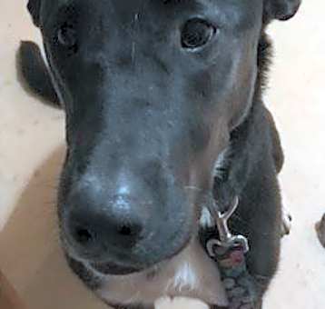 Photo of Skye