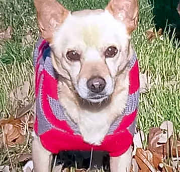 Photo of Ernest