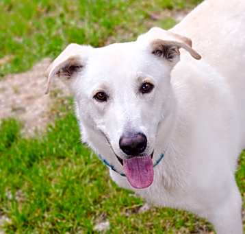 Photo of Ranger
