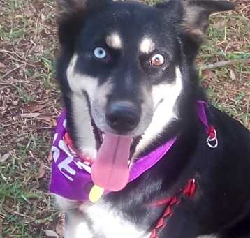 Photo of Macy