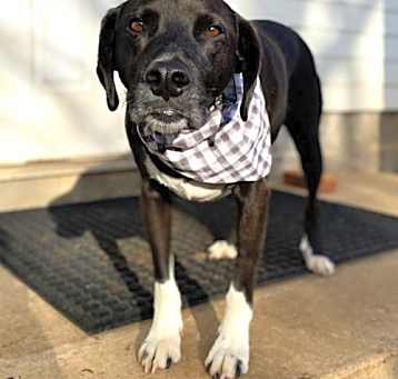 Photo of Arlo