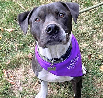 Photo of Buddy-Meet me?