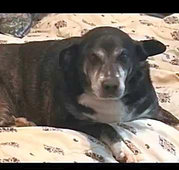 Photo of Rosco