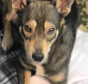 Photo of Holly