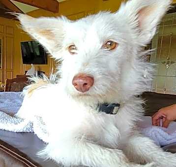Photo of Bunky