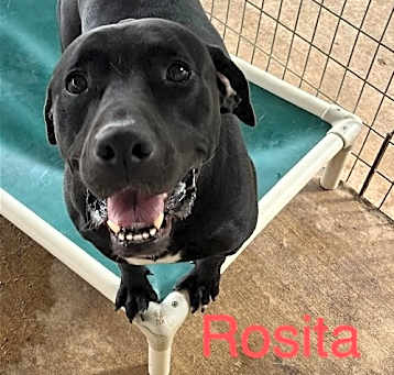Photo of Rosita