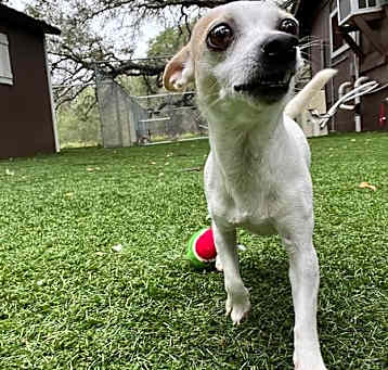 Photo of Tiny