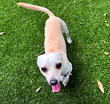 Photo of Jet