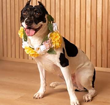 Photo of Winnie