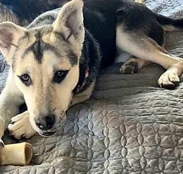 Photo of Holly