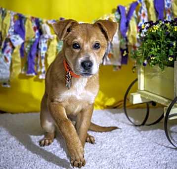 Photo of Bugsy