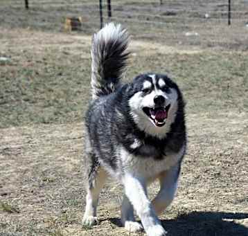 Photo of Nome