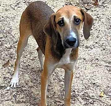 Photo of Kino