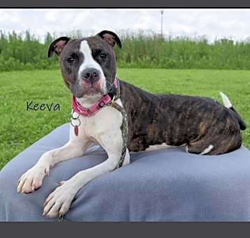 Photo of Keeva
