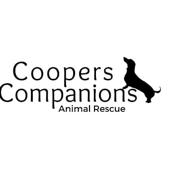 Photo of Blank Adoption Application