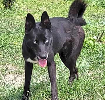 Photo of Flaca