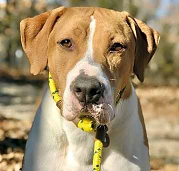 Photo of Jaeger