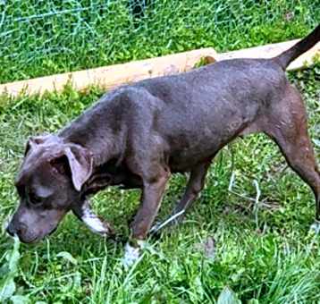 Photo of Blue