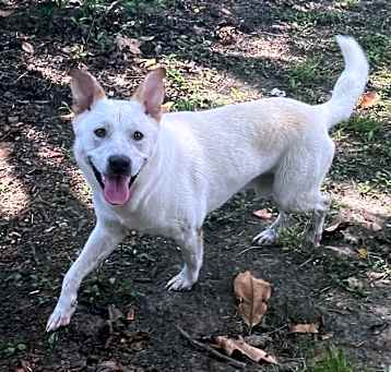 Photo of Rodney