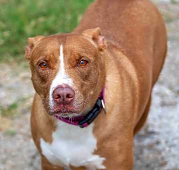 Photo of Hera