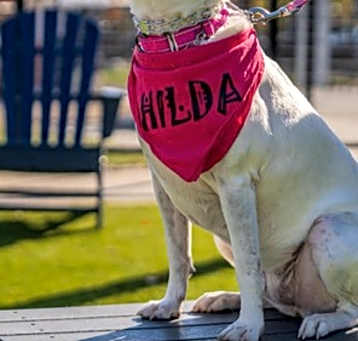 Photo of Hilda