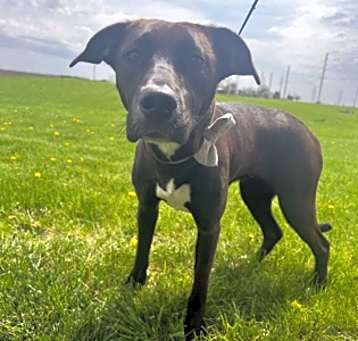 Photo of Abbie