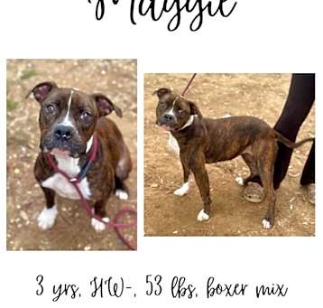Photo of Maggie