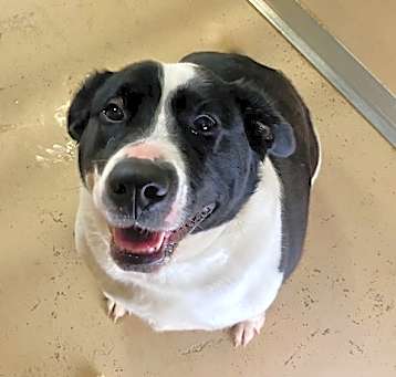 Photo of DeeDee