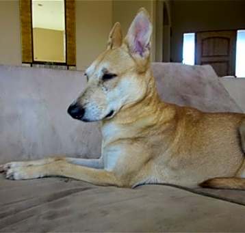 Photo of WYLIE