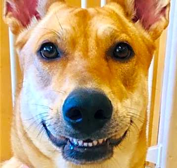 Photo of DIXIE