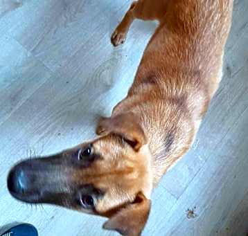 Photo of Peeka