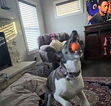 Photo of Gigi