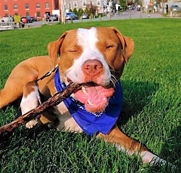 Photo of Blue -- Courtesy Post