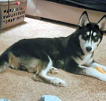 Photo of RAFE