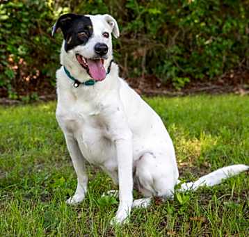 Photo of Penny