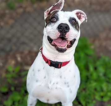 Photo of ChooChoo
