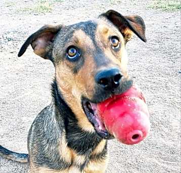 Photo of Meeka