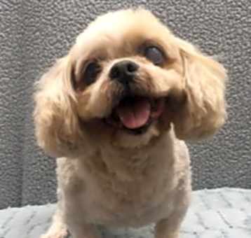 Photo of Mickey