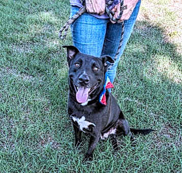 Photo of Tripp