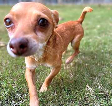 Photo of Coco (formerly Kuzco)