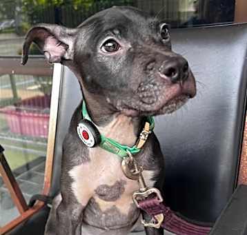 Photo of Inky