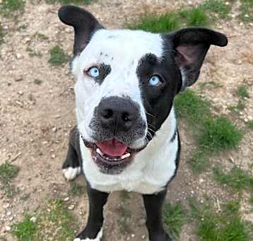 Photo of Aero