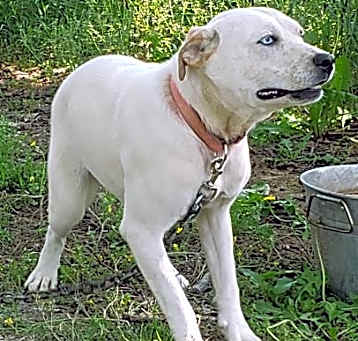 Photo of Sugar