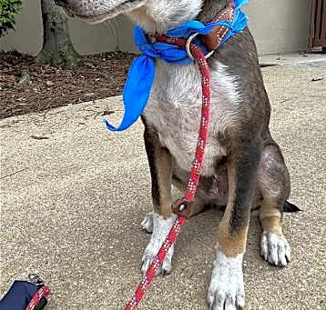 Photo of Finnegan