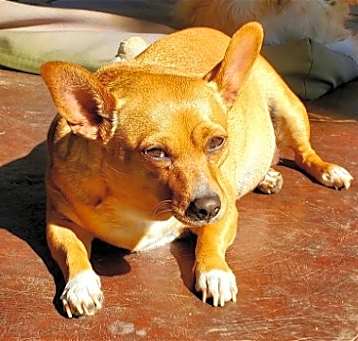 Photo of CARMEN