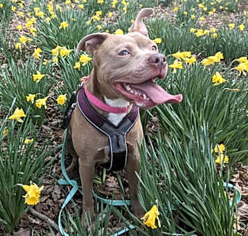 Photo of Penny