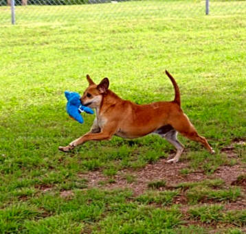 Photo of Dunkin