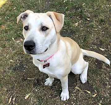 Photo of Elsie D5813
