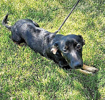Photo of Yuma