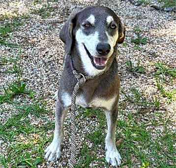 Photo of Roxie